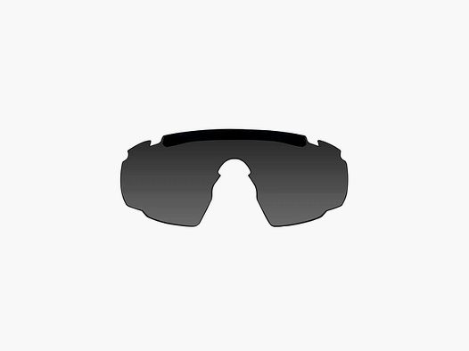 Wiley X Wiley X verres interchangeables Saber Advanced - Gris