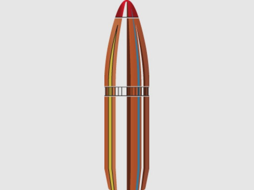 Hornady FTX .25/.257 100 Stk.