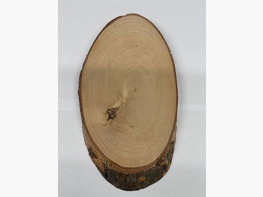 Wappenschilder 18,5cmx10,5cm