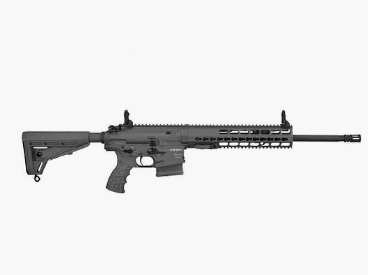 Self-loading rifle CR 308 match trigger Haenel