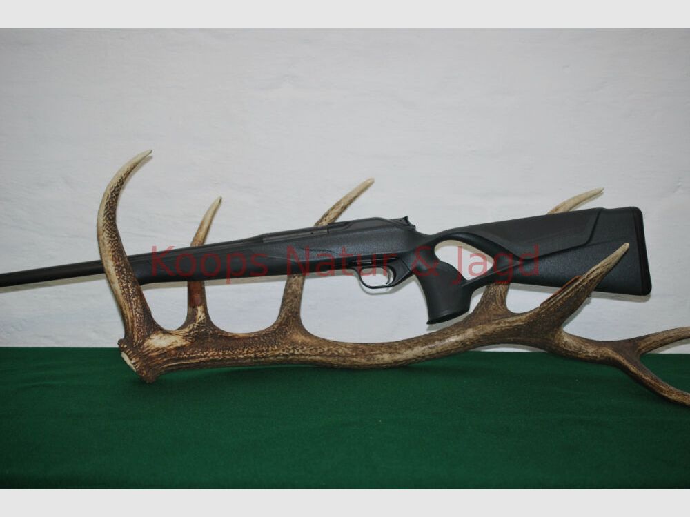 Blaser R8 Professional Success