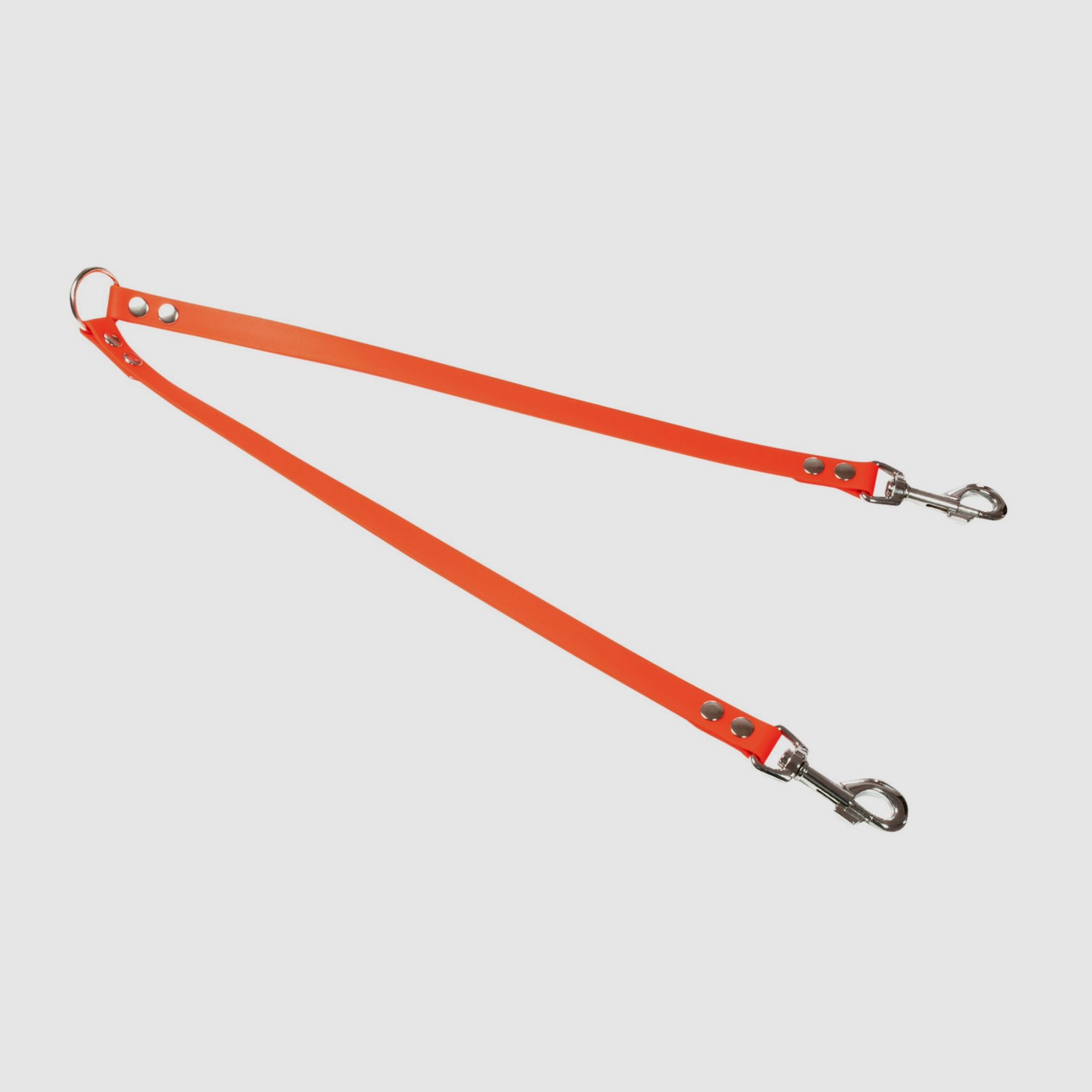 Ceinture Biothane Mystique