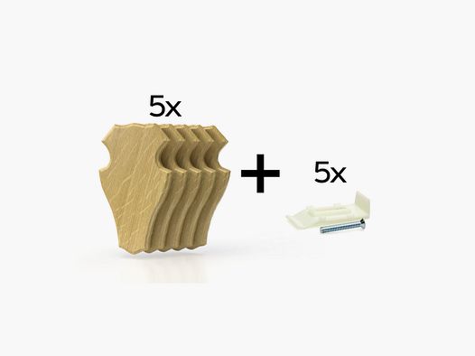 Pakket van 5 trofeeplaten 22x13 cm + 5 plastic standaards - Claires