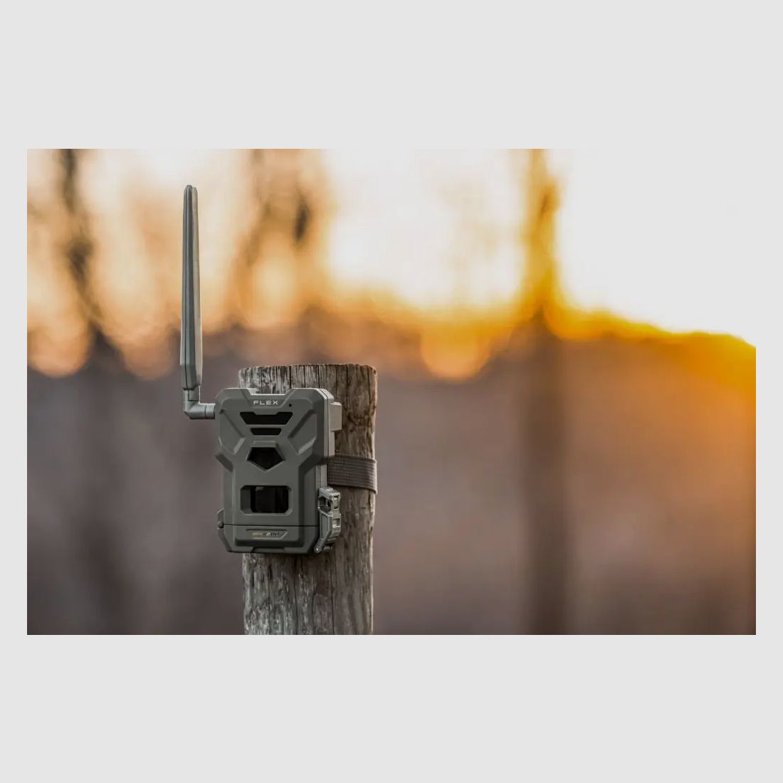 Spypoint Flex Wildkamera