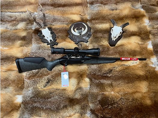 Benelli Lupo 