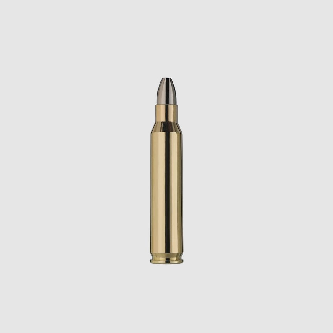 RWS HIT 40grs - 20Stk