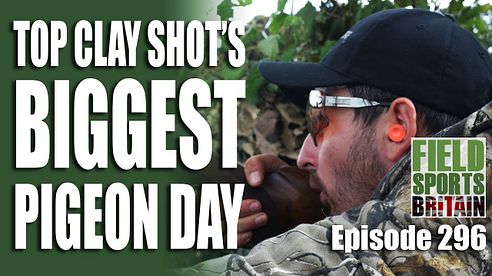 Fieldsports Britain - Top Clay Shot's Biggest Pigeon Day