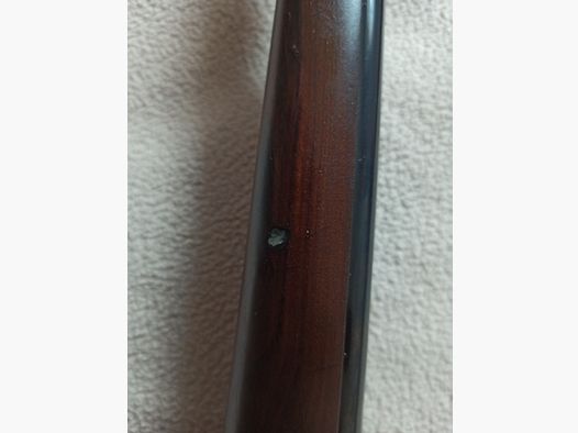 Sauer 202 Stutzen 