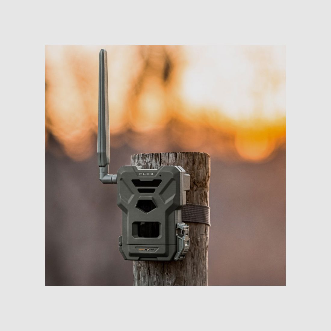 Spypoint Flex, image 9 sur 12