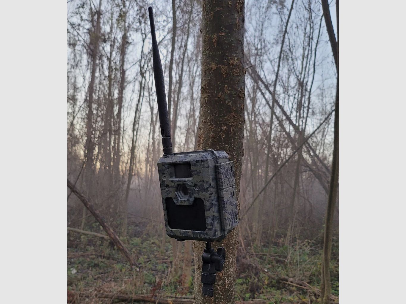 Caméra de chasse ICUCAM5- 4G / LTE, image 4 sur 6