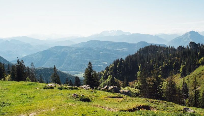 Jagdzeiten Bayern