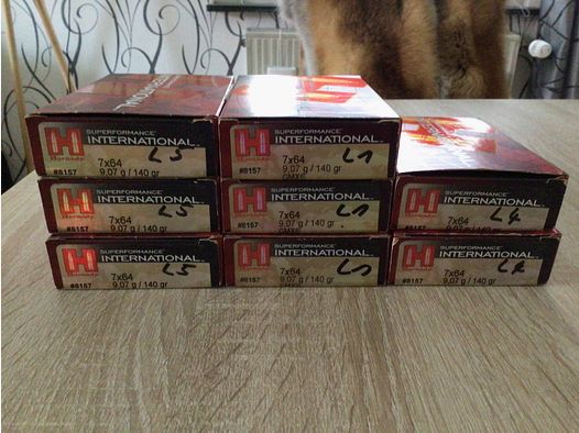 7x64 Hornady Superperformance GMX 140 gr. bleifrei, ähnl. ECX Munition