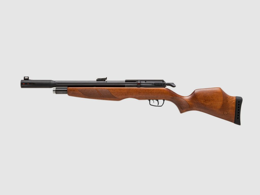 Gamo Riser Punisher caliber 4.5mm air rifle 10 shots