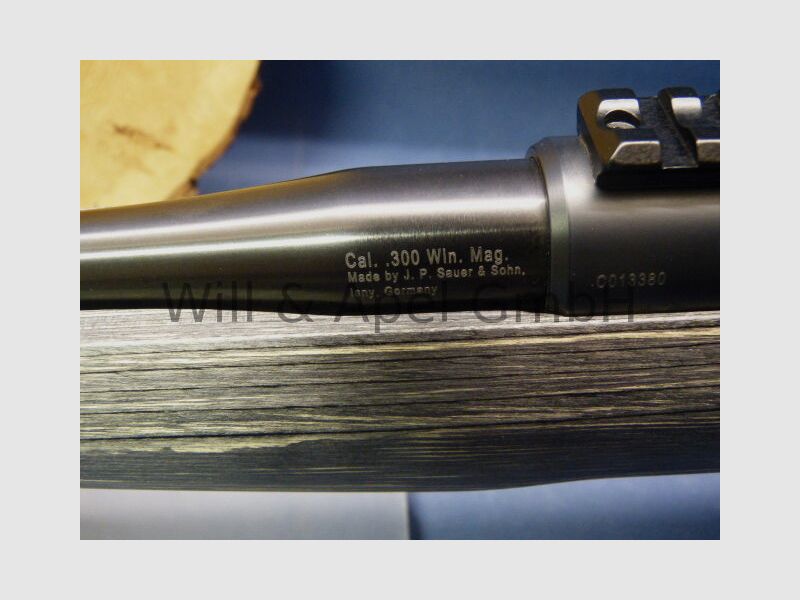 Sauer & Sohn Sauer 100