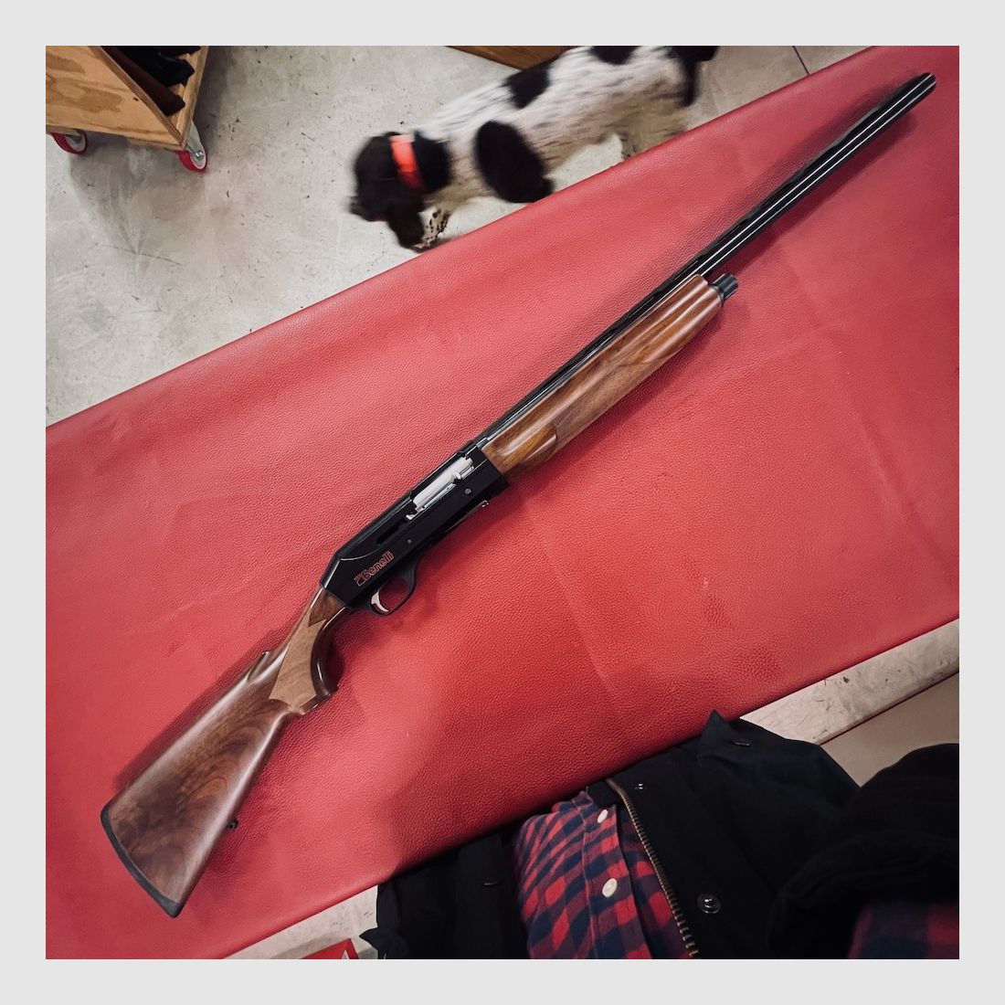 Benelli Centro, Bild 1 von 9