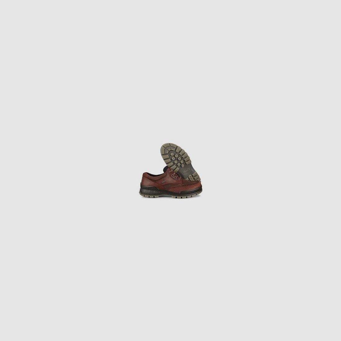 Ecco Herren Wanderschuh Track 25 Low GTX Braun