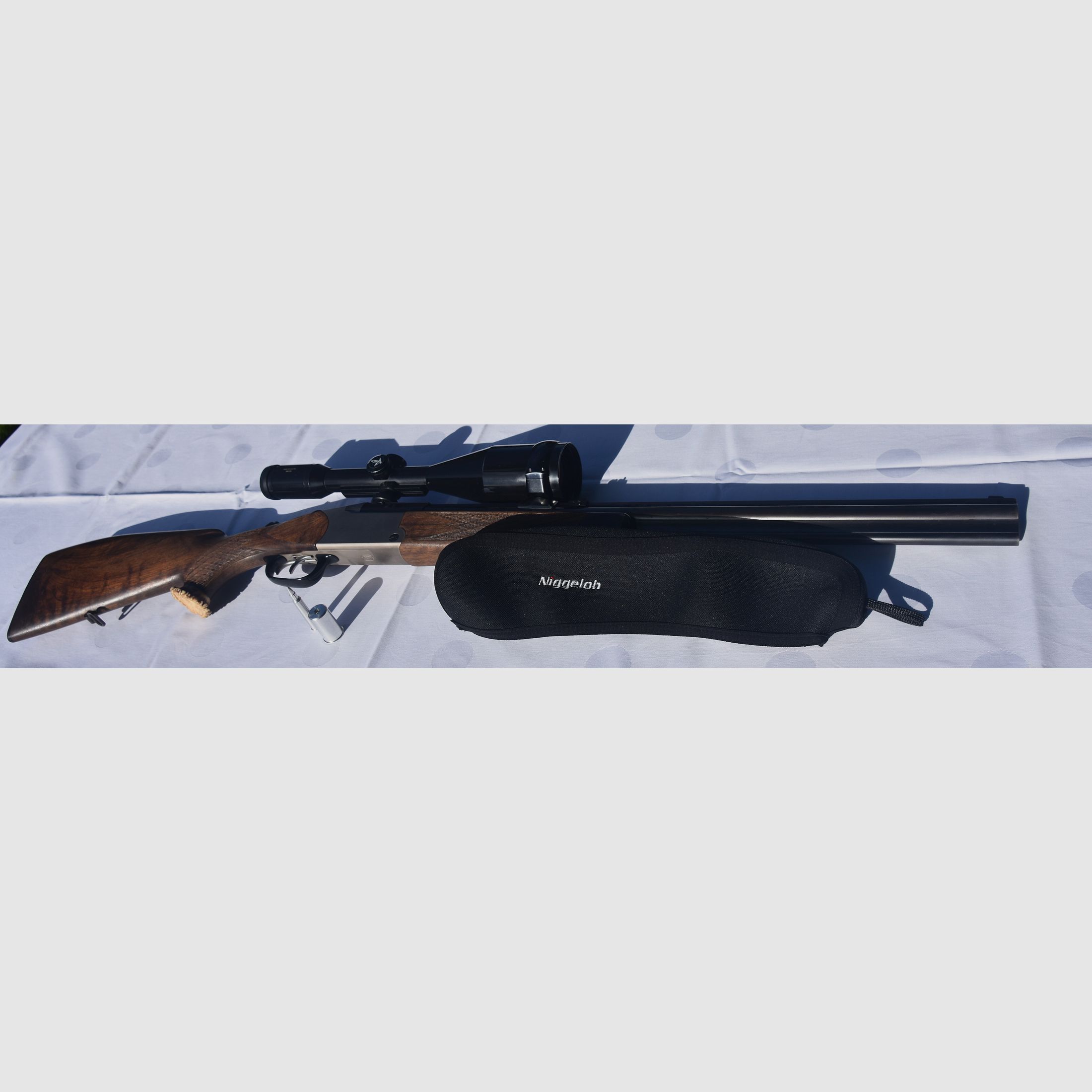 Blaser Bockbüchsflinte ES 67 5,6x50 R Magnum 12/70