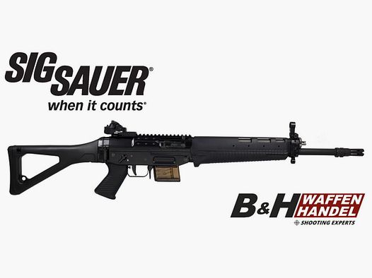 Sig Sauer SIG 551 Sport