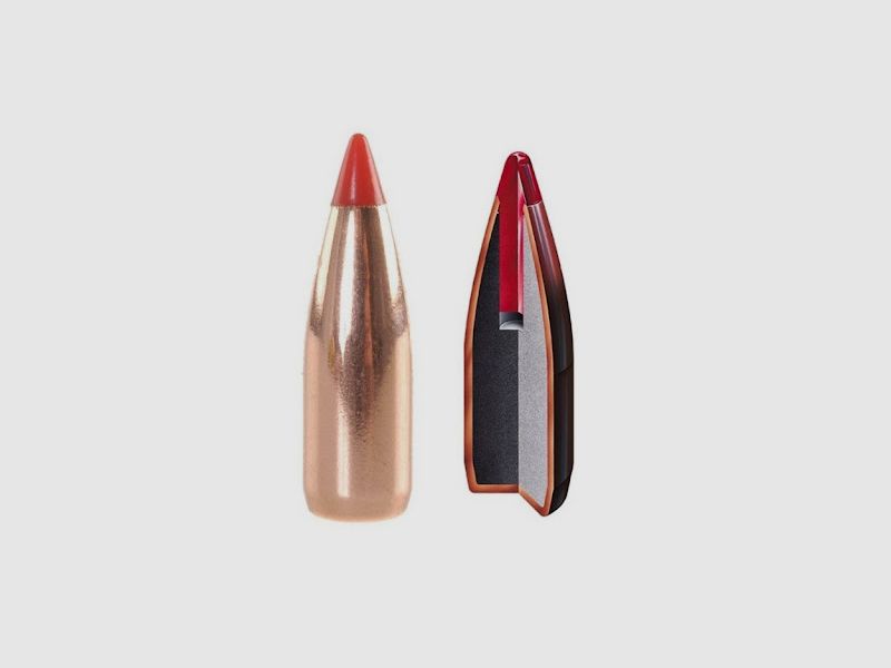HORNADY SUPERFORMANCE SST Munition Kaliber 243Win 95Gr, Bild 5 von 5