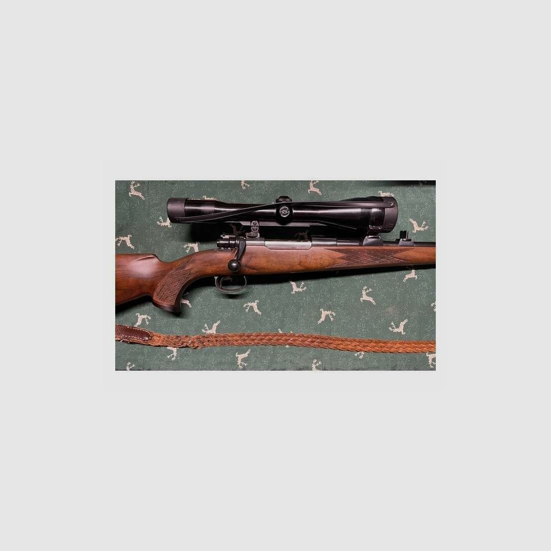 Schasieben .270Win