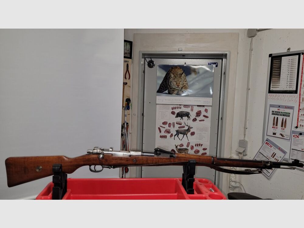 Mauser 1909 Argentino