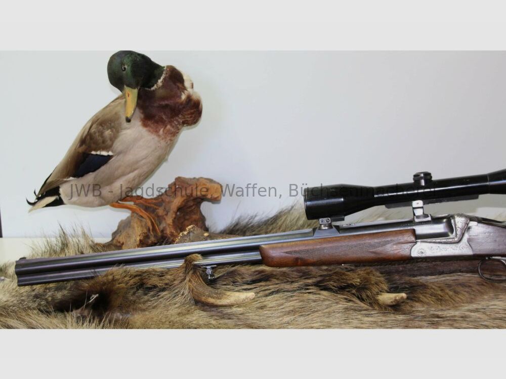 Bockbuksflinte Sauer & Sohn 54 6,5x57R;16/70