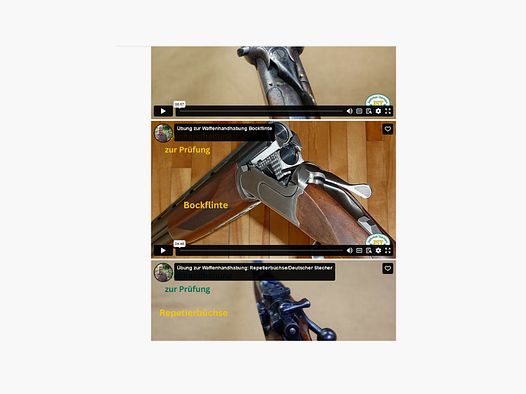 Zugang zur internen MOODLE-Lernplattform der JST