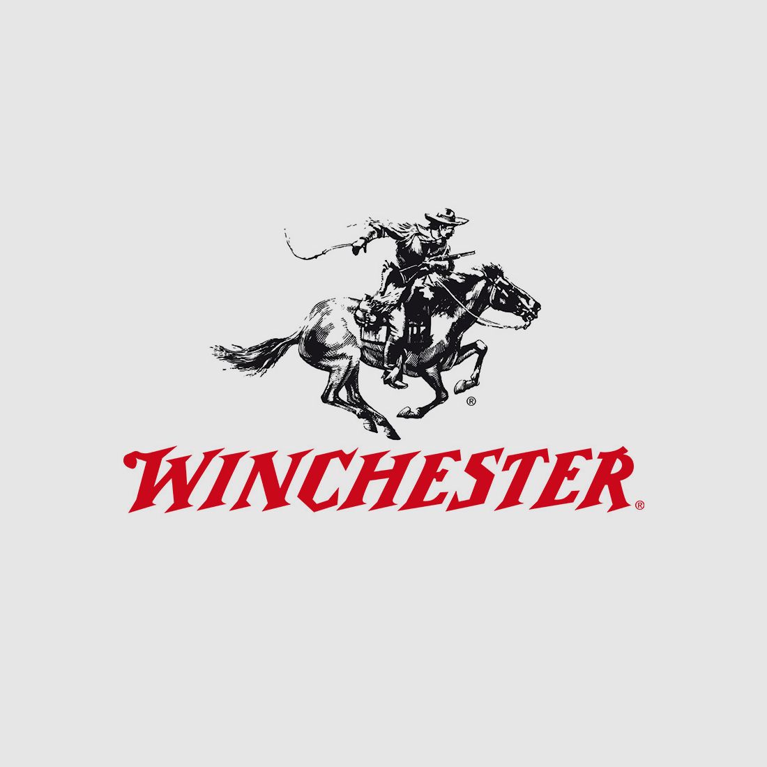 Winchester USA .45 ACP 230GR FMJ 100 Patronen
