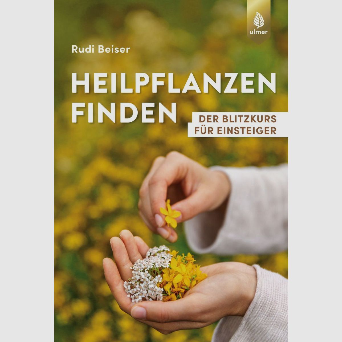 Heilpflanzen finden