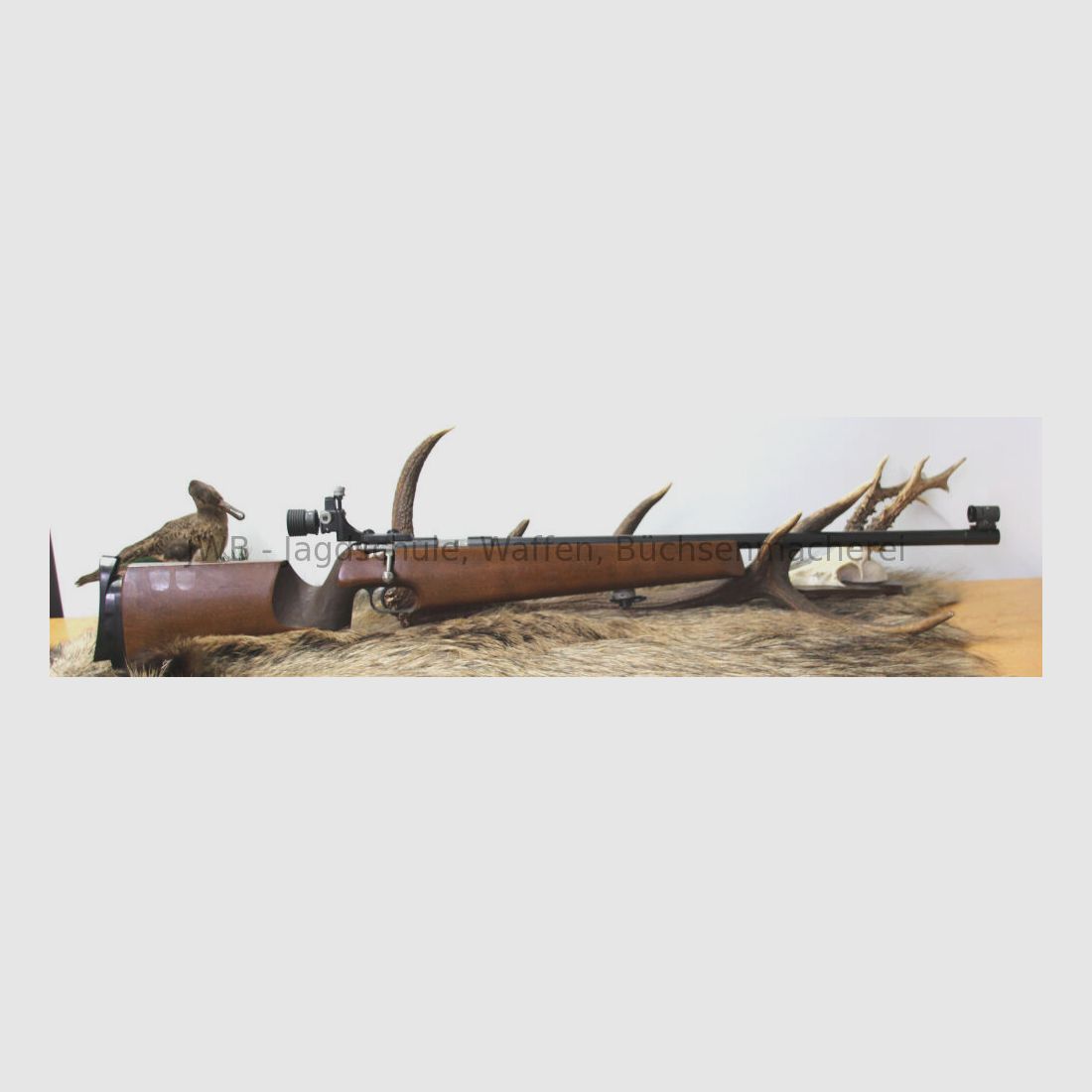 Anschütz 64 - .22lr