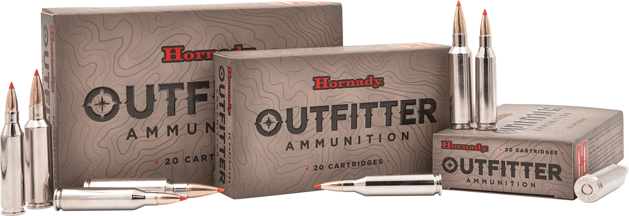 Hornady – Munition / Outfitter / .308 Win 165Gr CX / 20Stk., Bild 1 von 2