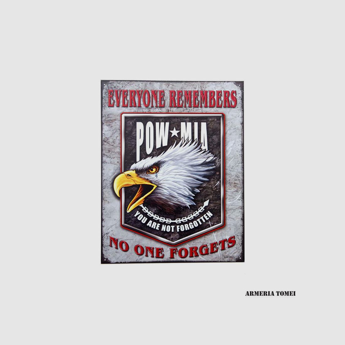 METALLPLAKETTE 43. POW MIA