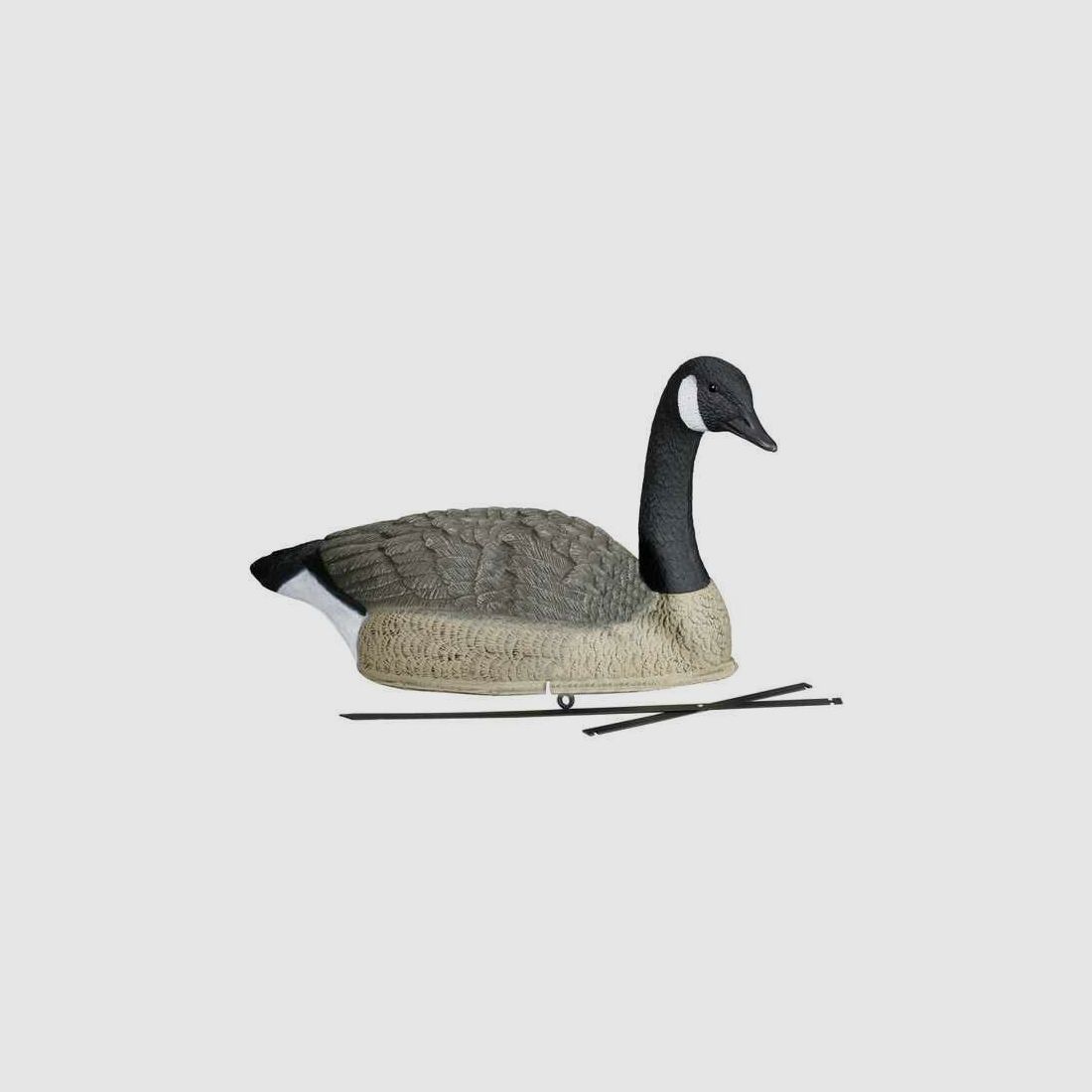 Lockvogel Kanadagans mit Haltestab