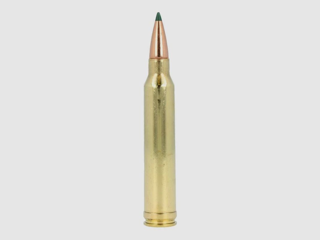 Remington Core-Lokt .300 Win. Mag. 180GR Tipped 20 cartridges