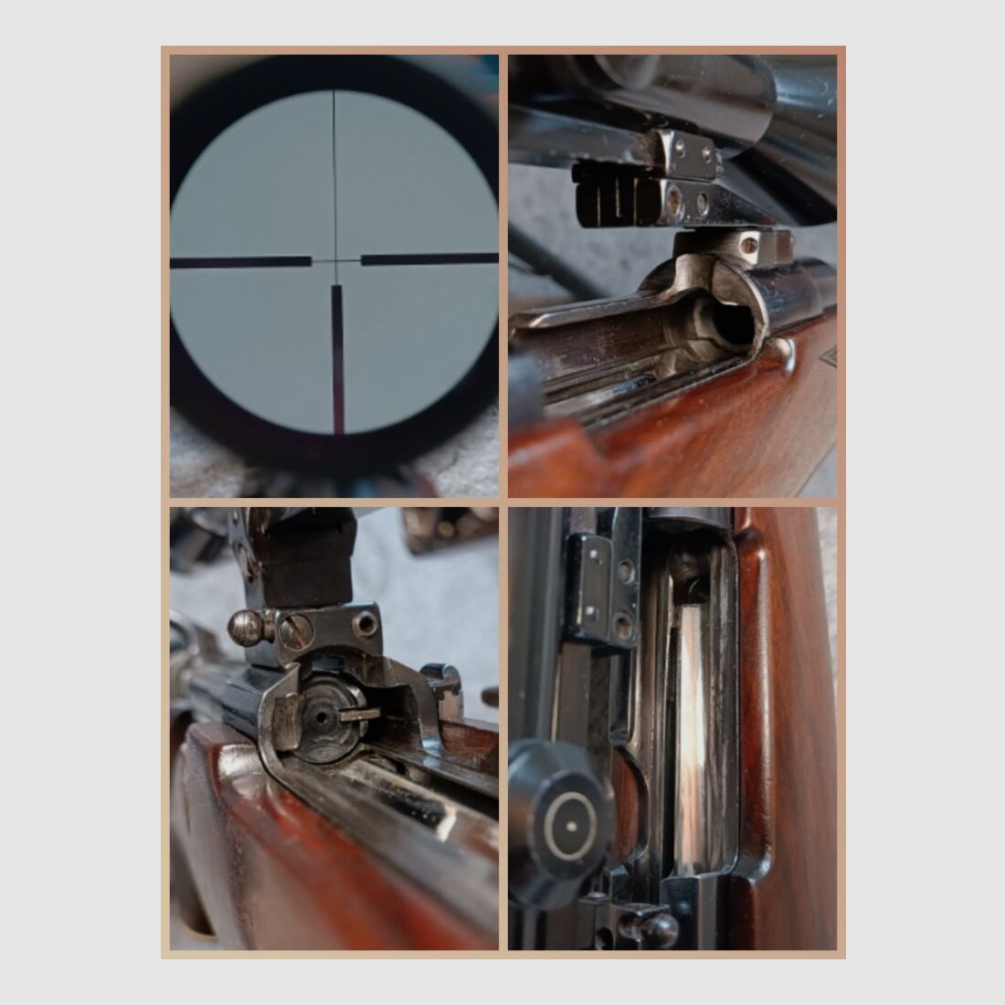 RWS Mod. M. 98 with ZF S&B 8x56 & hand tension with top trigger!