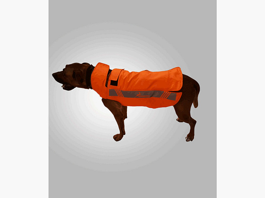 Konustex Integrex - Boar Save-Größe T50 Für: z.B. Jack Russel / Beagle