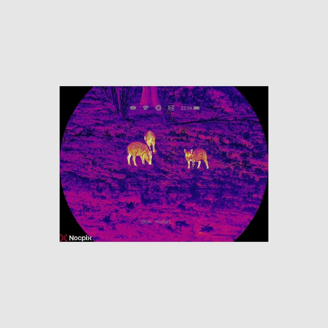 Clip-on Wärmebildgerät Nocpix Mate Lite L38, Bild 23 von 30