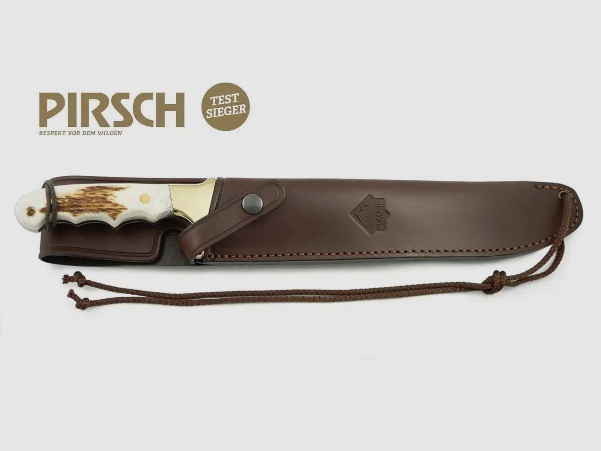 PUMA IP longhorn, cerf