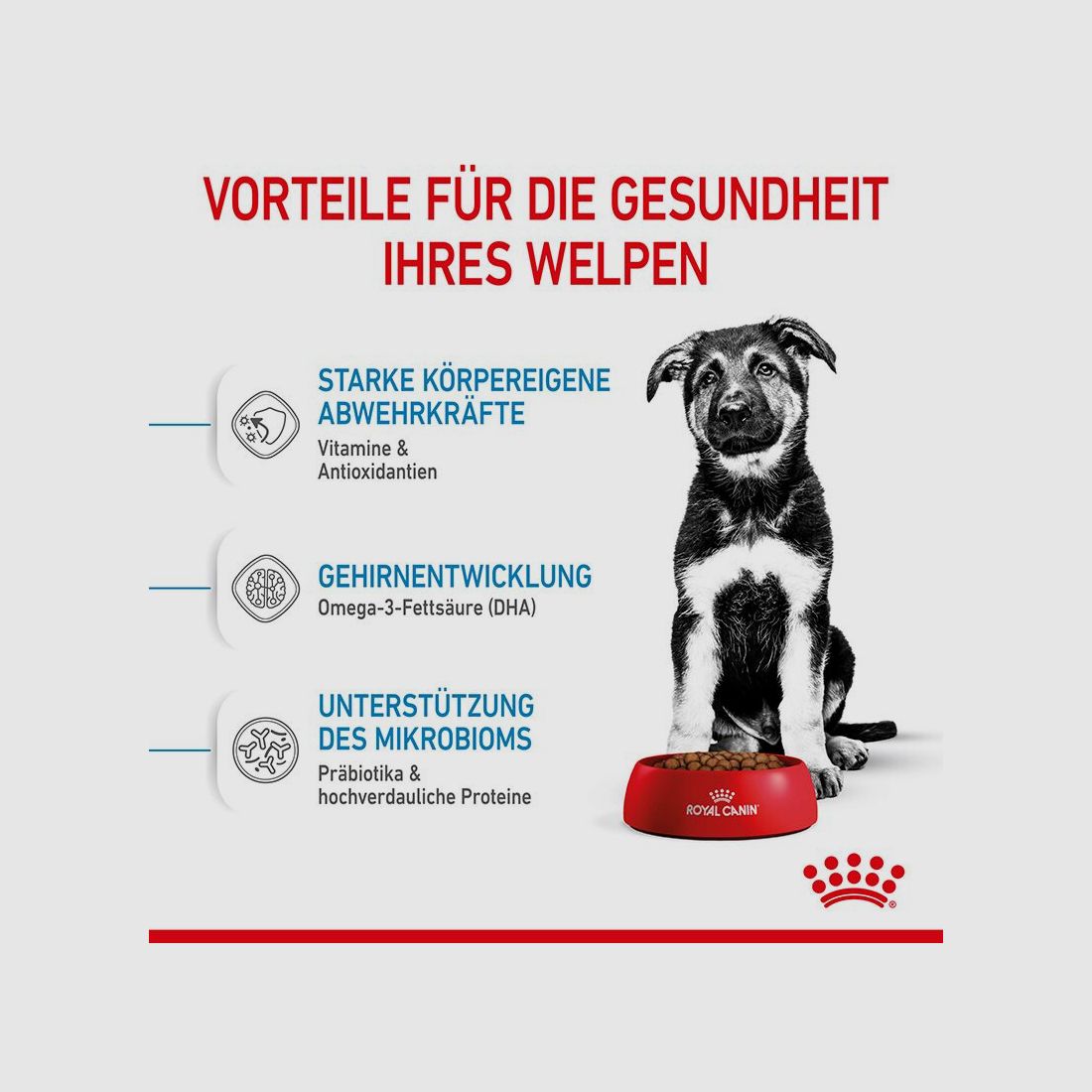ROYAL CANIN Große Hunde Trockenfutter Maxi Welpen 15 Kg