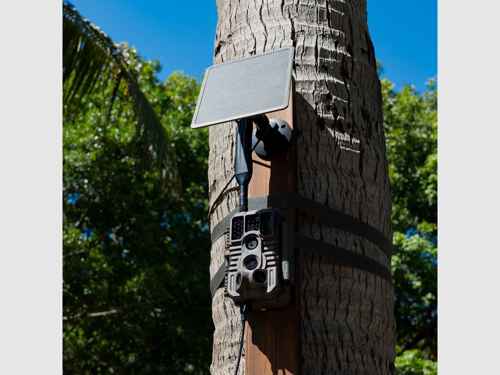 Wildkamera Gardepro X60 PRO Max, Bild 5 von 9
