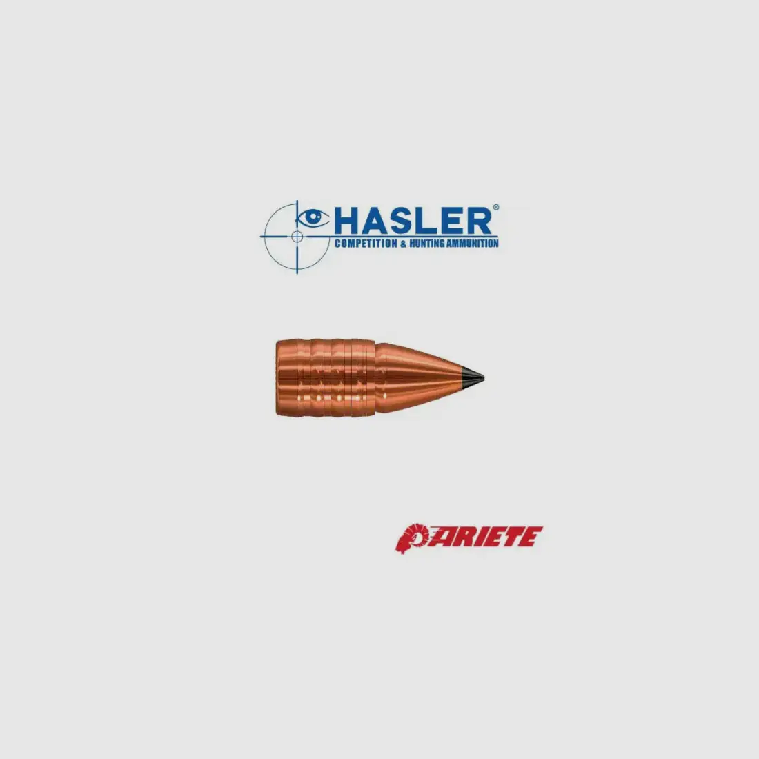 Monolitishe Geschosse Hasler Ariete cal 10,3mm (.415), 210grs