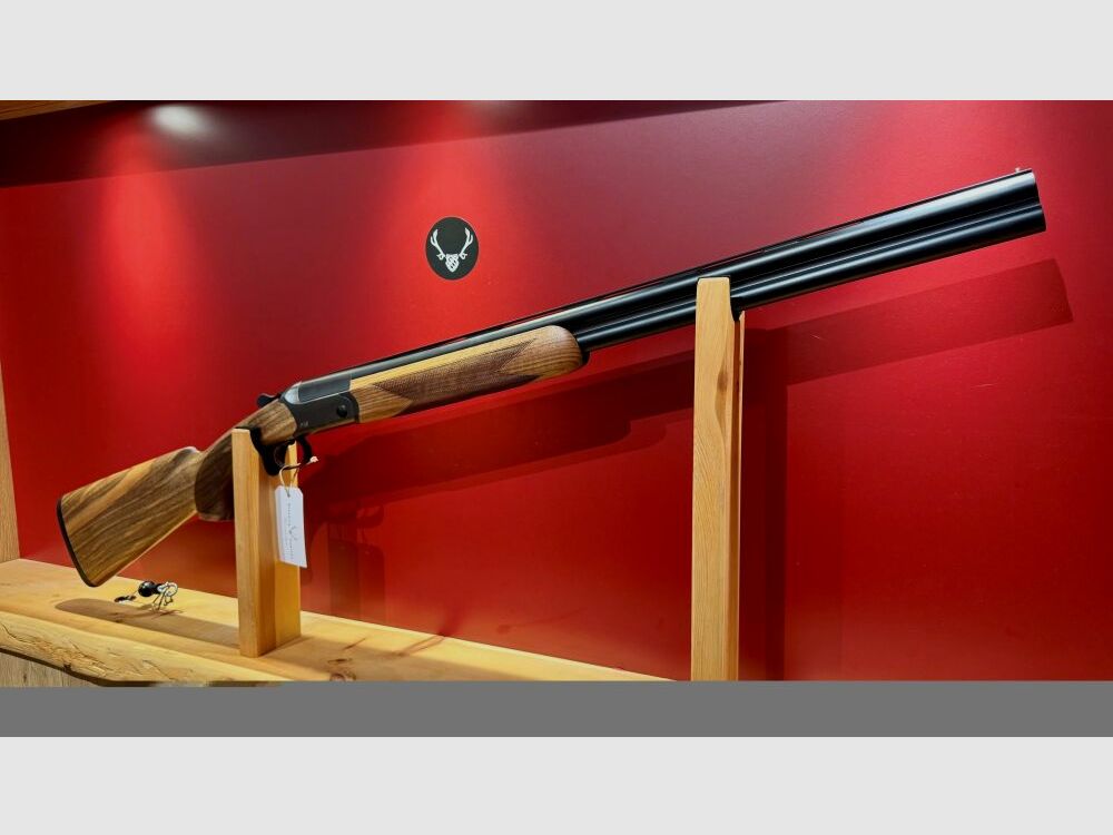 Blaser F16 Game