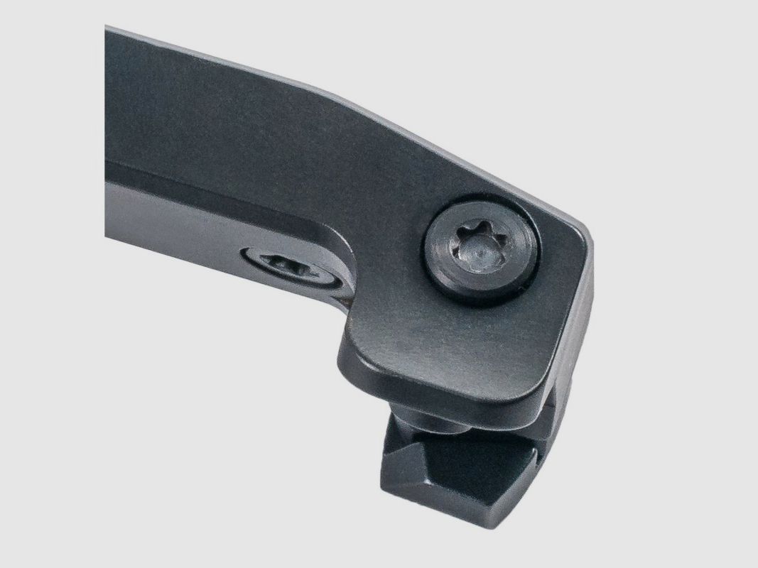 Montage für Blaser Negele 30 mm Ringe, Bild 3 von 3