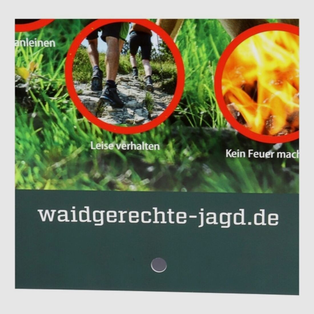 Waidgerechte Jagd Hinweisschild Rücksicht auf's Wild - 3er-Pack