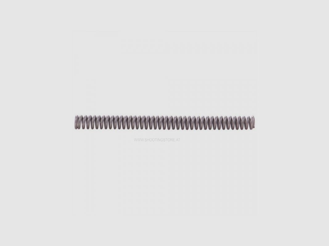 AR 15 TAKEDOWN AND PIVOT PIN DETENT SPRING