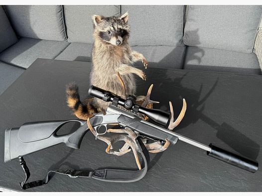 Bergara BA13 Takedown