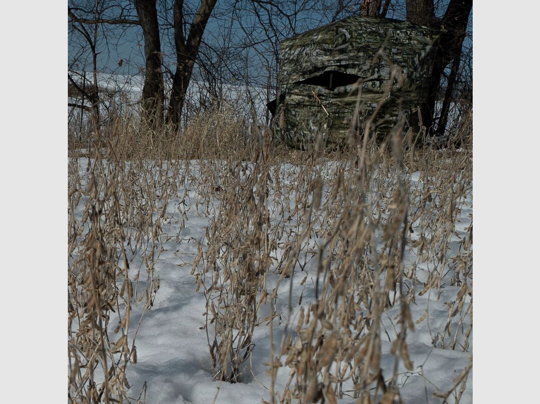 Double Bull SurroundView Max Truth Camo, Box, image 3 of 11