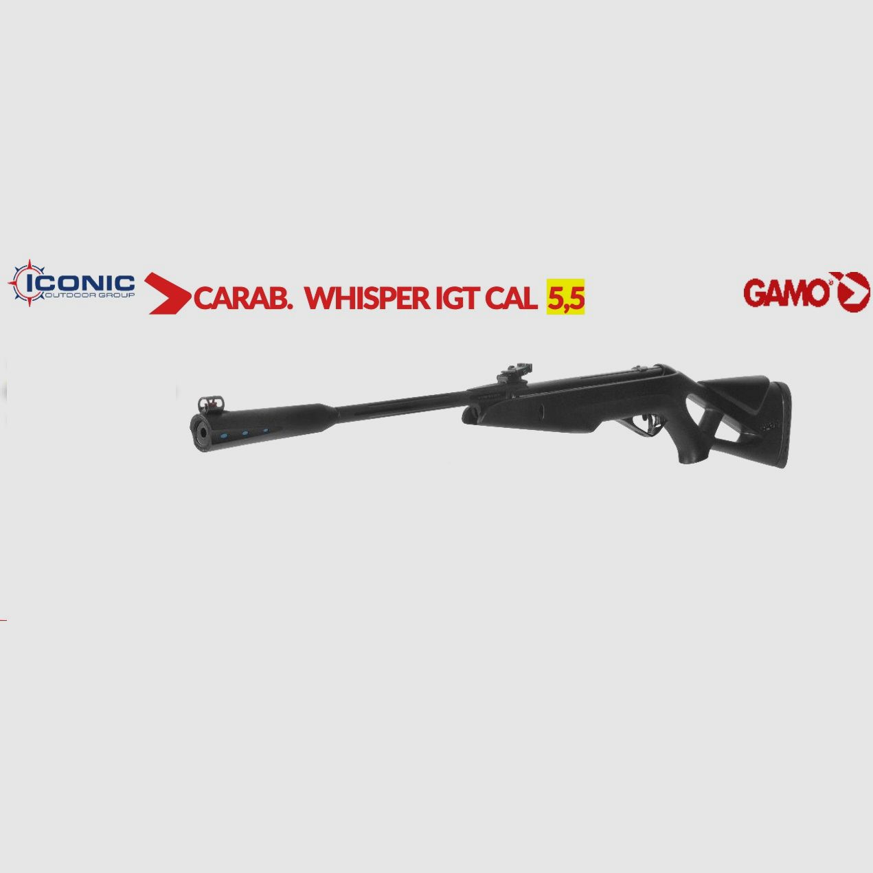 Carabina de aire comprimido Gamo Whisper IGT 5,5 mm