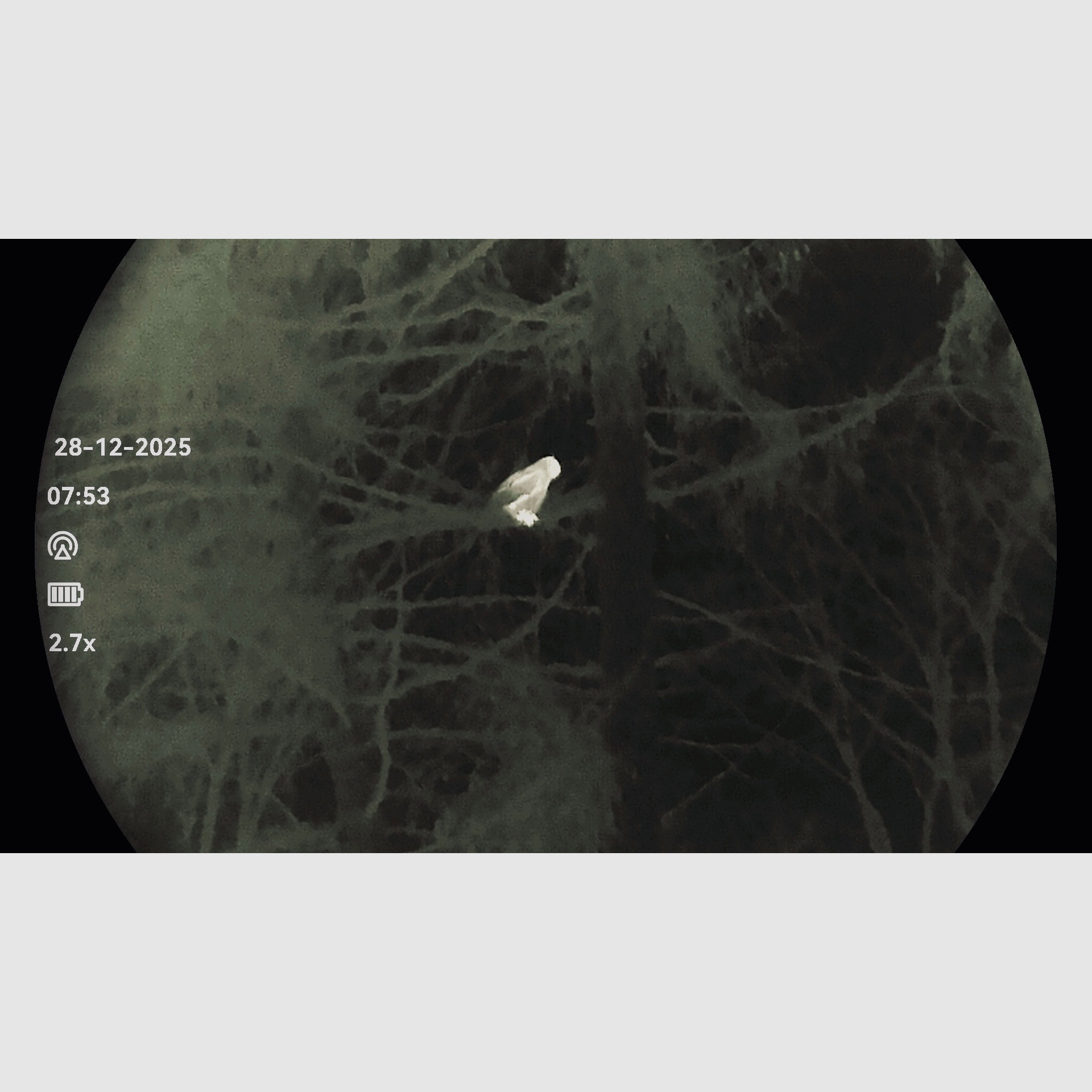 HIKMICRO Falcon FQ50 2.0 - OVP - caméra thermique