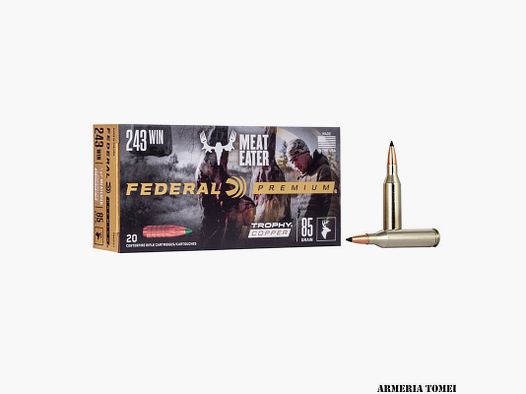 FEDERAL – PREMIUM 243WIN MEATEATER TROPHY COPPER 85gr (20Stück) – P243TC1